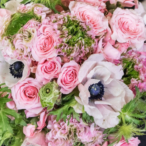 Pink DIY Flower Kit Up Close