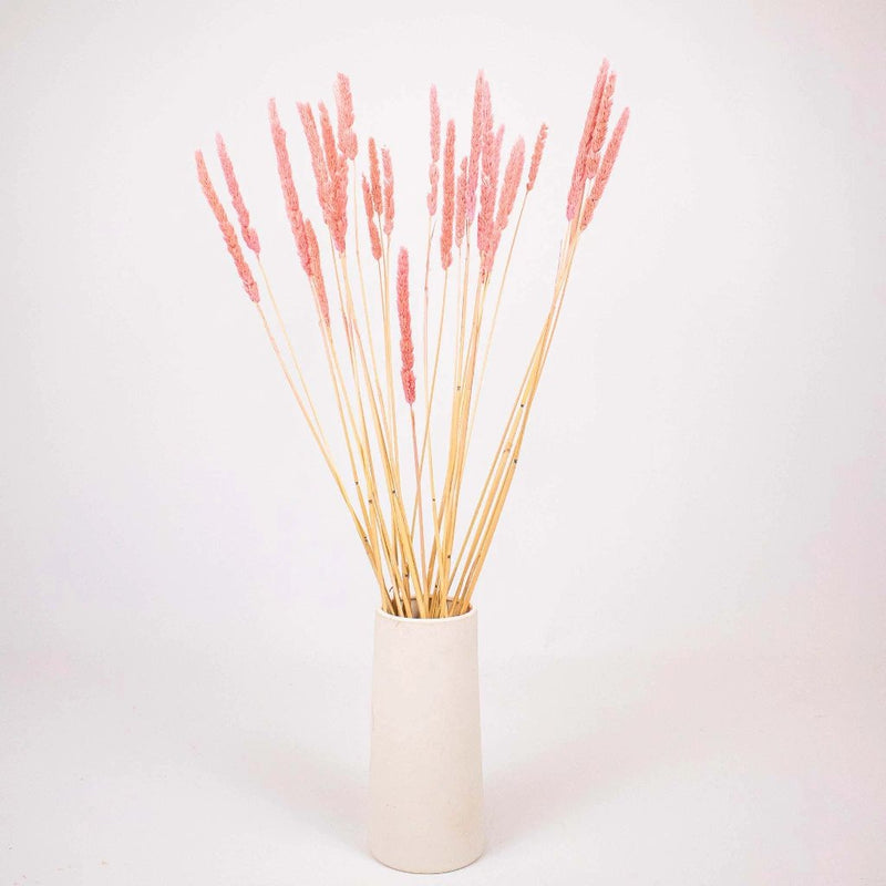 Pink Dried Thypa Flower Bunch in Vase