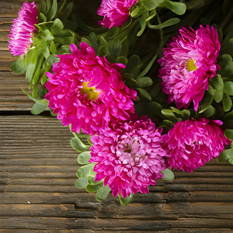 Monochromatic Pink Matsumoto Flowers