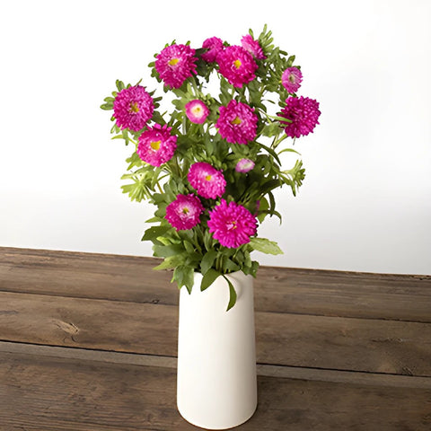 Monochromatic Pink Matsumoto Flowers