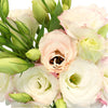 Kiss of Blush Lisianthus Wholesale Flower