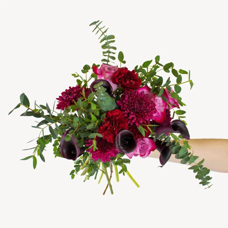 Plum Purple Perfection Flower in Hand