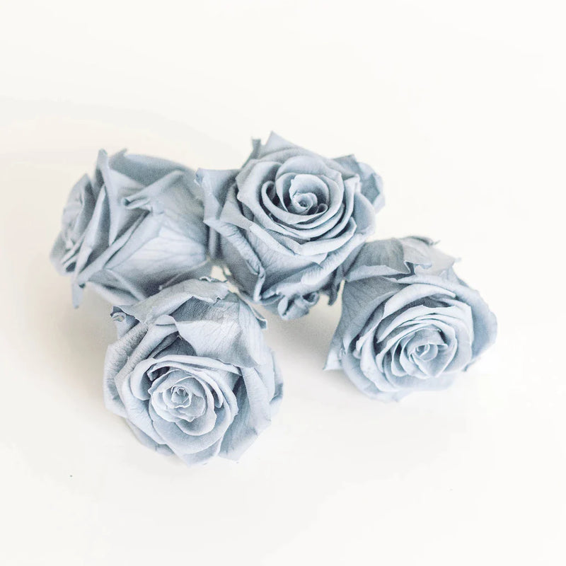 Preserved Grey Rose Apron - Image