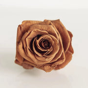 Ready To Go Wholesale Centerpieces Card