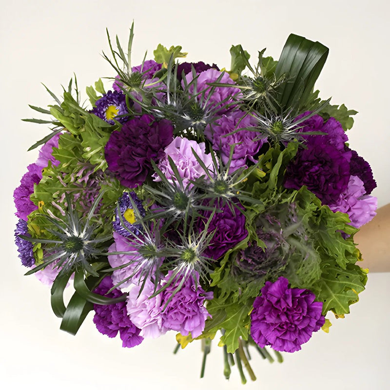 Prickly Purple Flower in Hand
