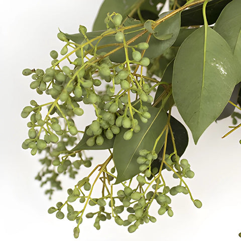 Wedding greenery bulk green privett berries sold near me