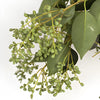 Bulk Green Privett Berries