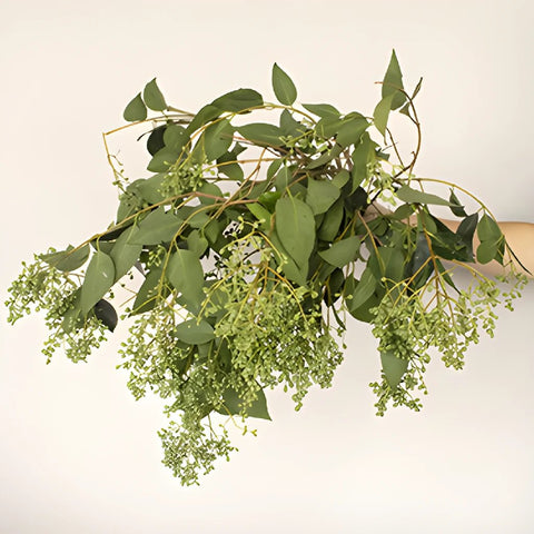 Bulk greenery green privett berries sold near me for delivery