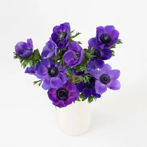 Purple Anemone Flower Bunch in Vase