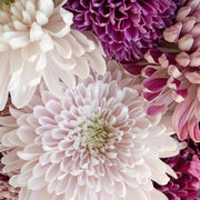 Ready To Go Wholesale Centerpieces Card