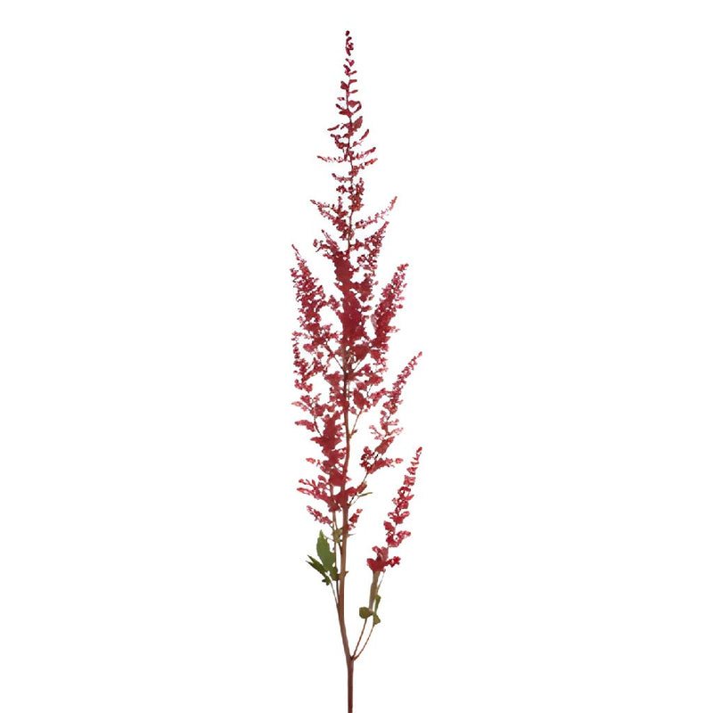 Red Astilbe Flower May to October