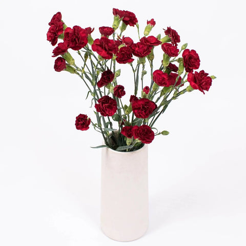 Red Mini Carnation Flower Bunch in Vase