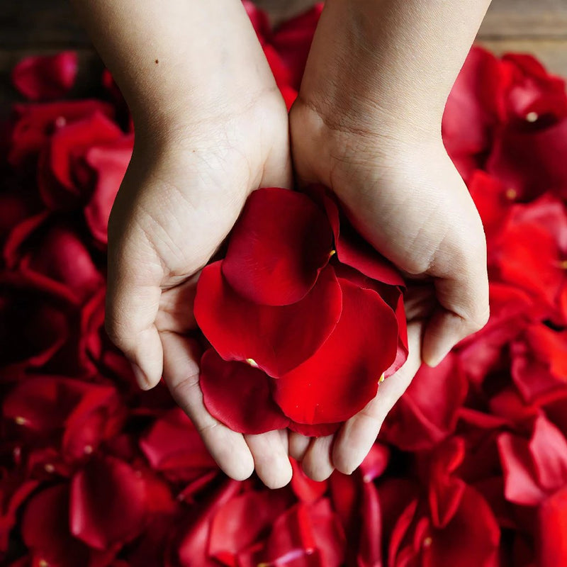 Red Rose Petals Wholesale