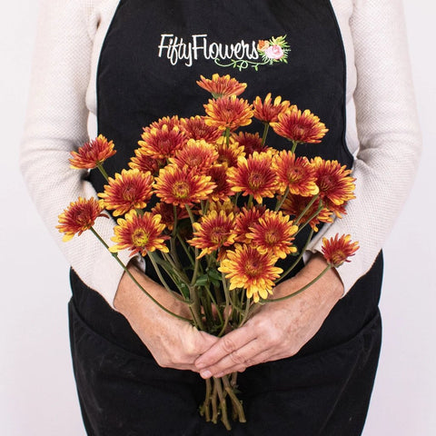 Bicolor Red and Yellow Poms Bunch in Hand