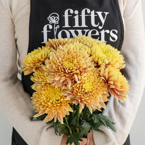 Salmon Oefa Apron - Image