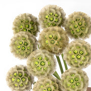 Ready To Go Wholesale Centerpieces Card