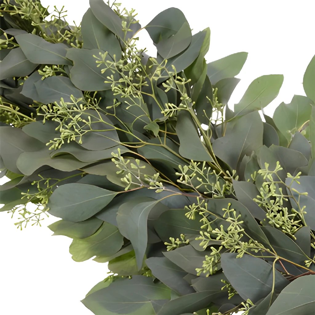 Seeded Eucalyptus Garland