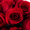 Sexy Red Bulk Red Roses