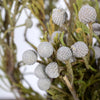 Silver Brunia Balls