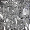 Holiday Silver Seeded Eucalyptus