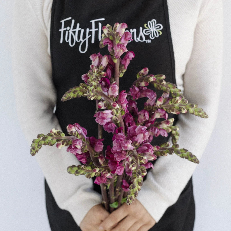 Snapdragon Burgundy Flower Apron - Image