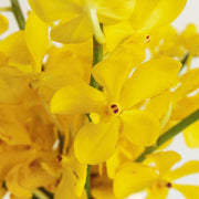 Ready To Go Wholesale Centerpieces Card
