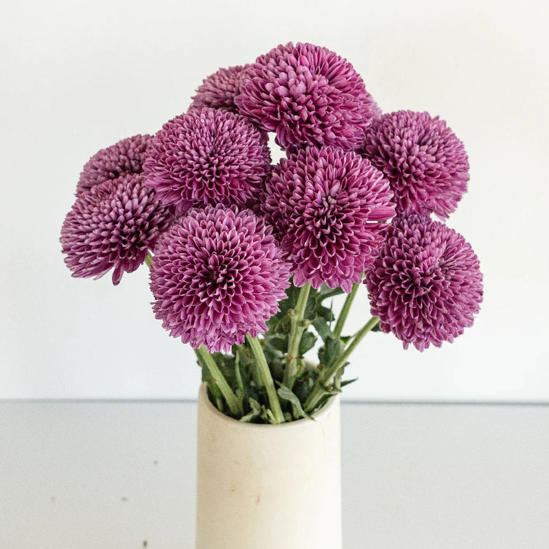 Sweet Ganache Bahlia Flower Vase - Image