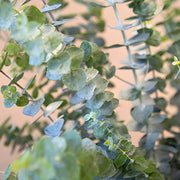 Ready To Go Wholesale Centerpieces Card