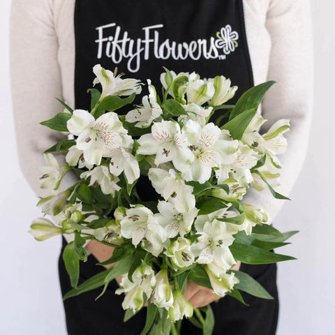 White Alstroemeria Fresh Flower