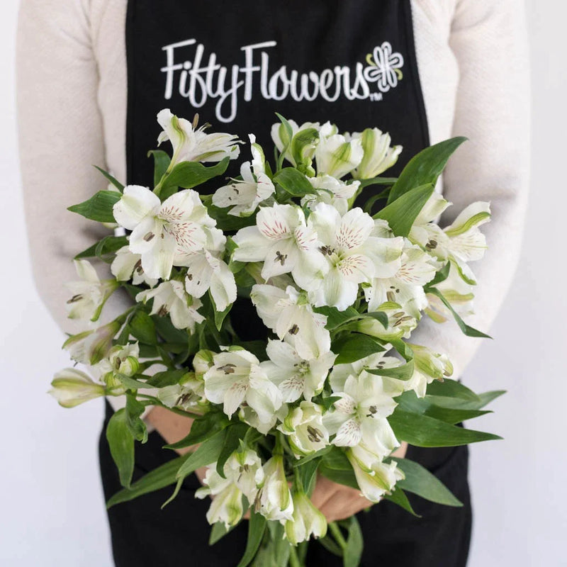 White Alstroemeria Fresh Flower