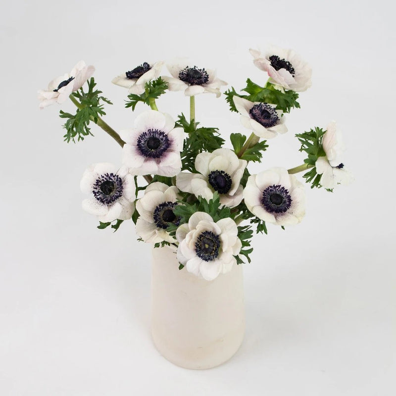 White Anemone Flower Bunch in Vase