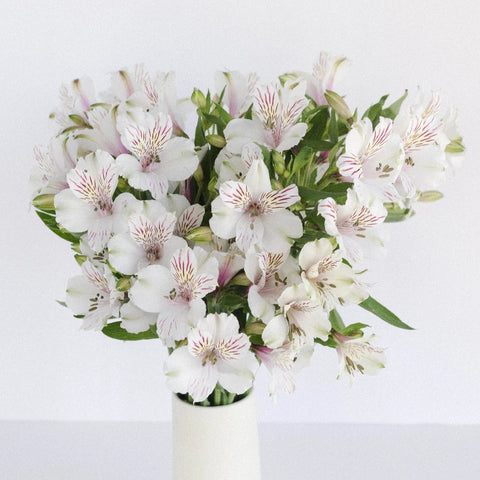 White Blush Peruvian Lilies Vase - Image