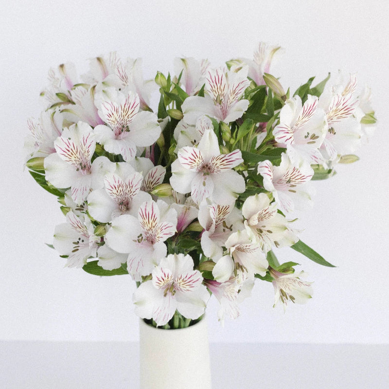 White Blush Peruvian Lilies Vase - Image