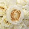 White Chocolate Rose