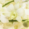 White Wedding Fresh Orchid Garland