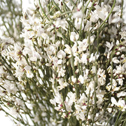Ready To Go Wholesale Centerpieces Card
