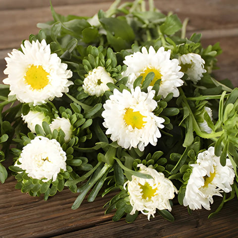 White Matsumoto Flowers