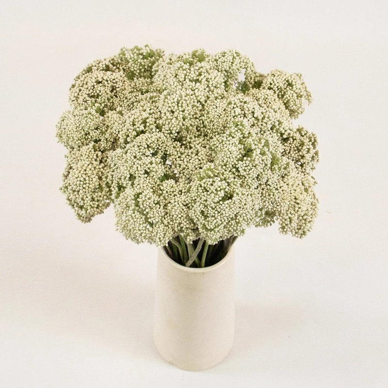 White Rice Flower Bunch in Vase