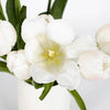 White Bulk Tulips