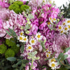 Wild About You Flower Combo Kit