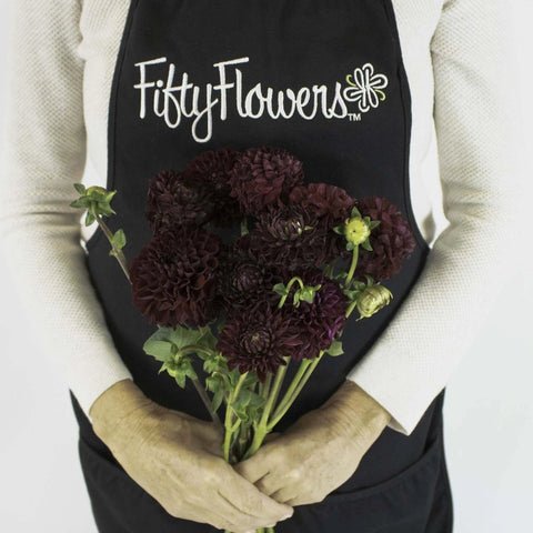 Wine Dahlia Velvet Flower Bunch in Hand