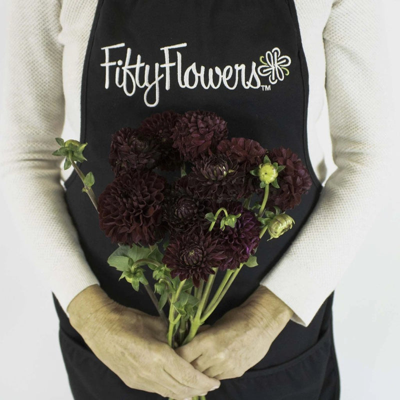 Wine Dahlia Velvet Flower Bunch in Hand