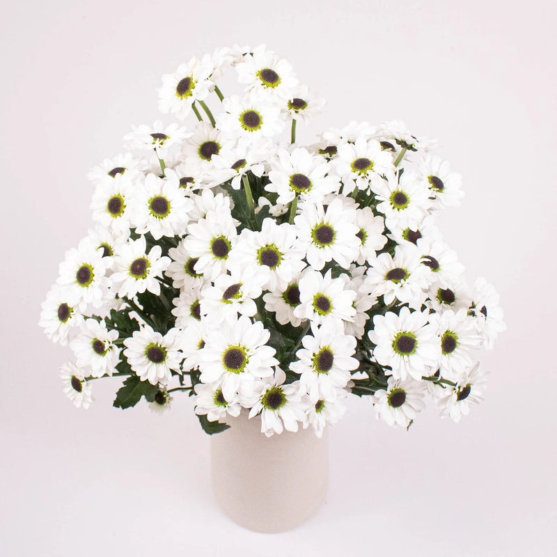 Mini Santini Flower Bunch in Vase